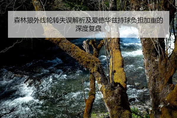 森林狼外线轮转失误解析及爱德华兹持球负担加重的深度复盘