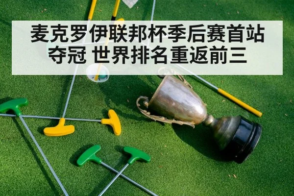麦克罗伊联邦杯季后赛首站夺冠 世界排名重返前三