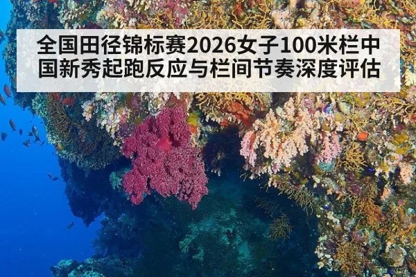 全国田径锦标赛2026女子100米栏中国新秀起跑反应与栏间节奏深度评估